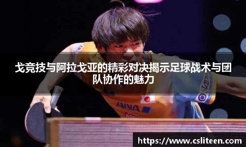 快盈VII